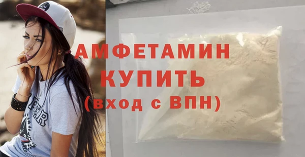 сатива Алзамай