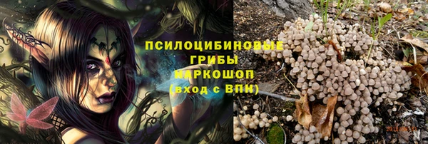 стафф Алексеевка