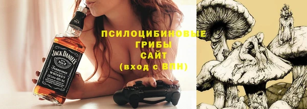 стафф Осинники