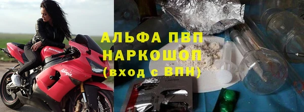 сатива Алзамай