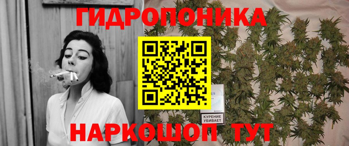 Канабис OG Kush Анапа